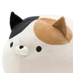 まゆみ